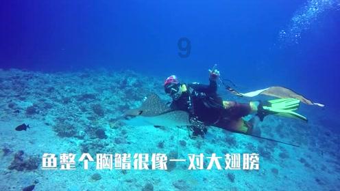 治疗前列腺肥大，需益肾阴阳双补，金匮肾气丸有奇效！